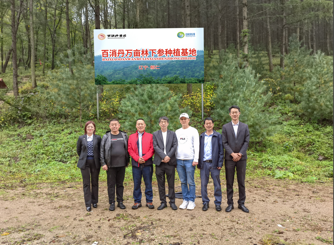 百消丹集團董事長佘中生赴遼寧林下參種植基地、河北生產基地考察調研